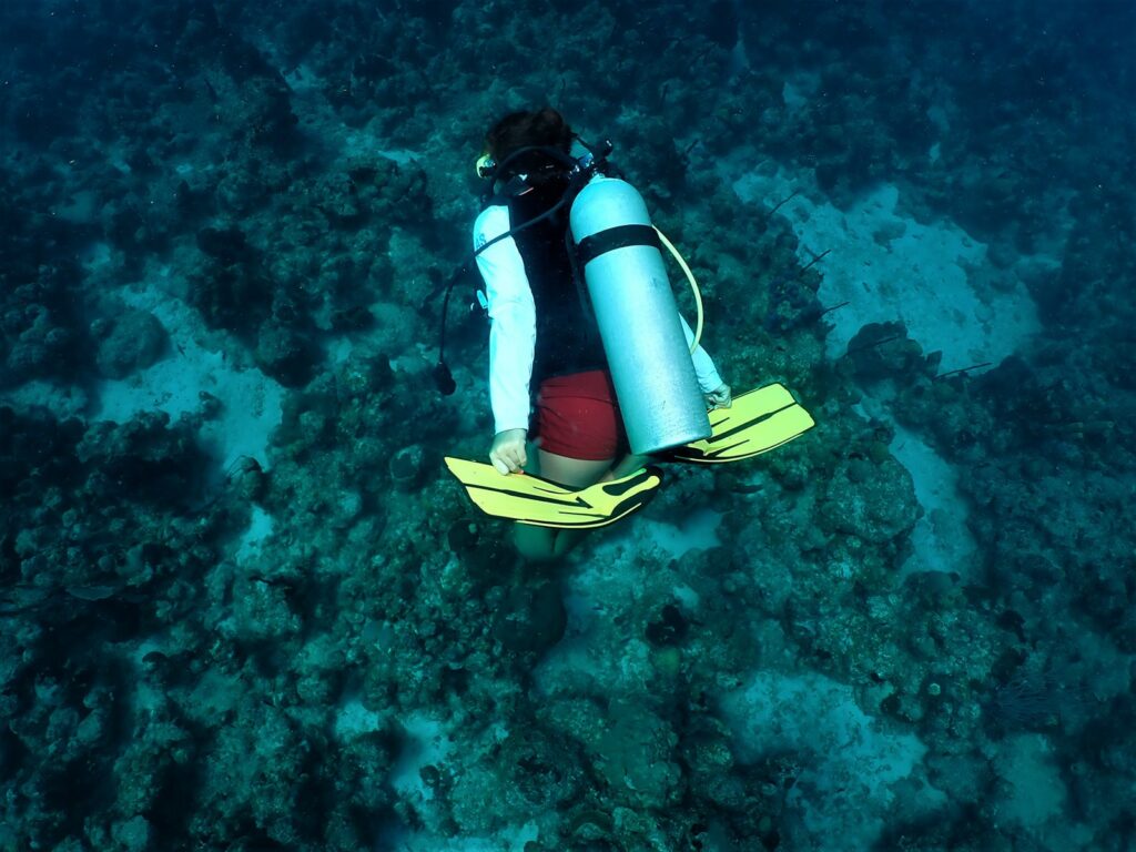 A person scuba diving underwater over a coral reef